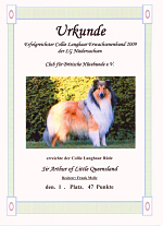 Urkunde 2009