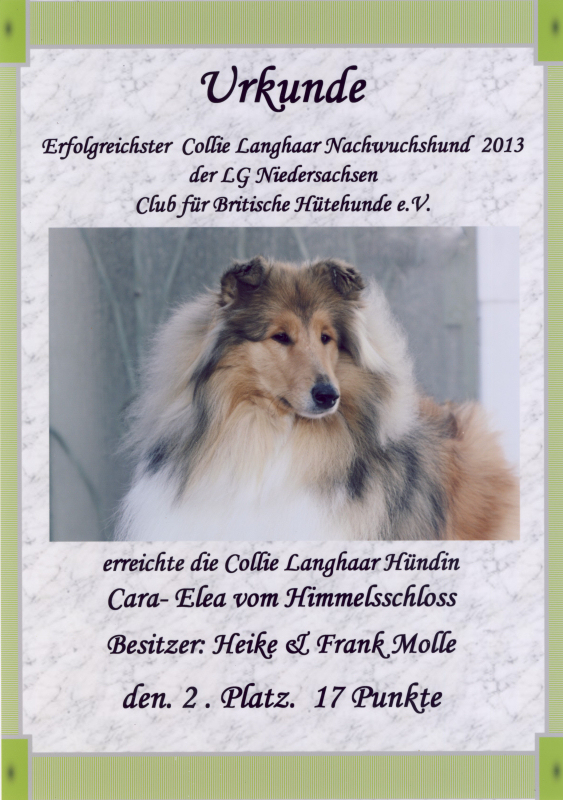 Urkunde Cara Elea 2013 CfBrH