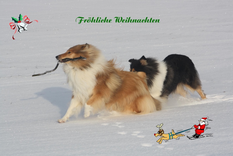 Weihnachten2013 (800x534)
