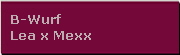 B-Wurf
Lea x Mexx