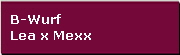 B-Wurf
Lea x Mexx