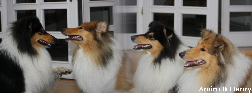 Amiro&Henry