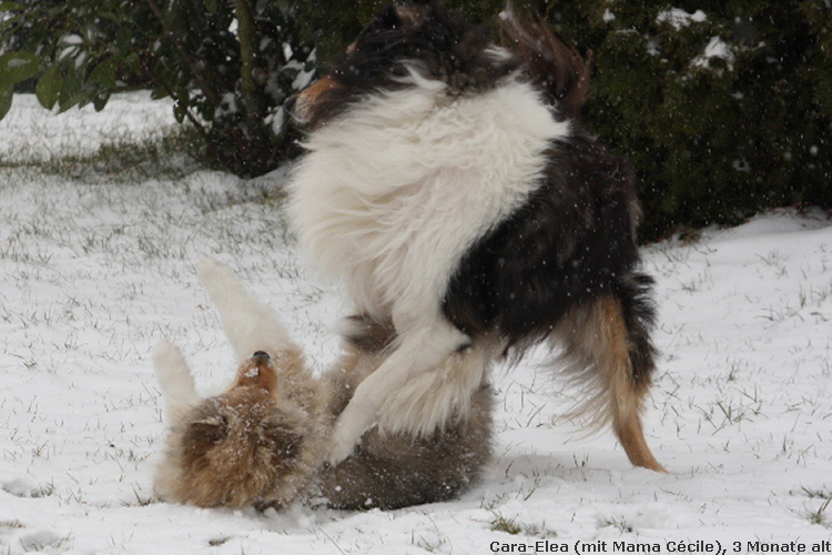 Cara-Elea tobt mit Mutter C�cile durch den Schnee