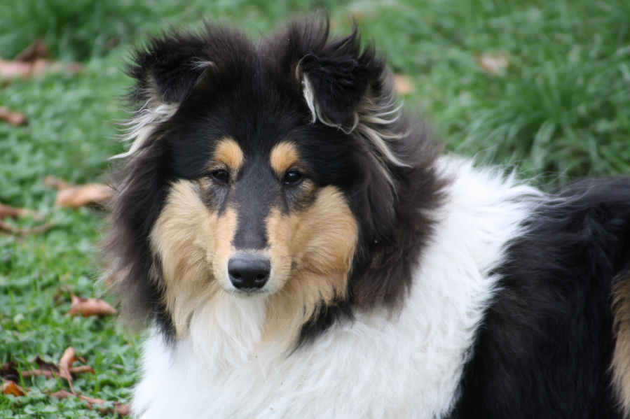 C�cile