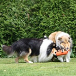 Connor, Cecile und Mexx Connor, Cecile und Mexx