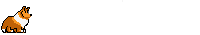 sheltiewbiegu1