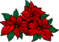weihnachtssternchen